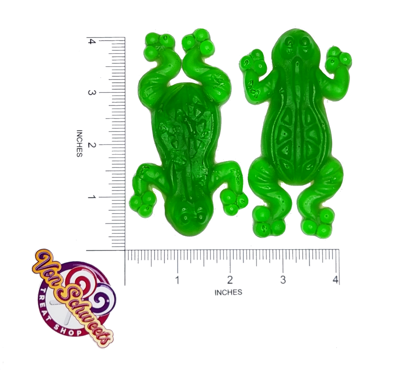 Giant Swamp Toads (80g)