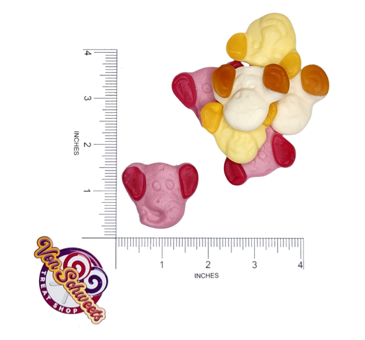 Dutch Fruity Zoo Animals (50g)